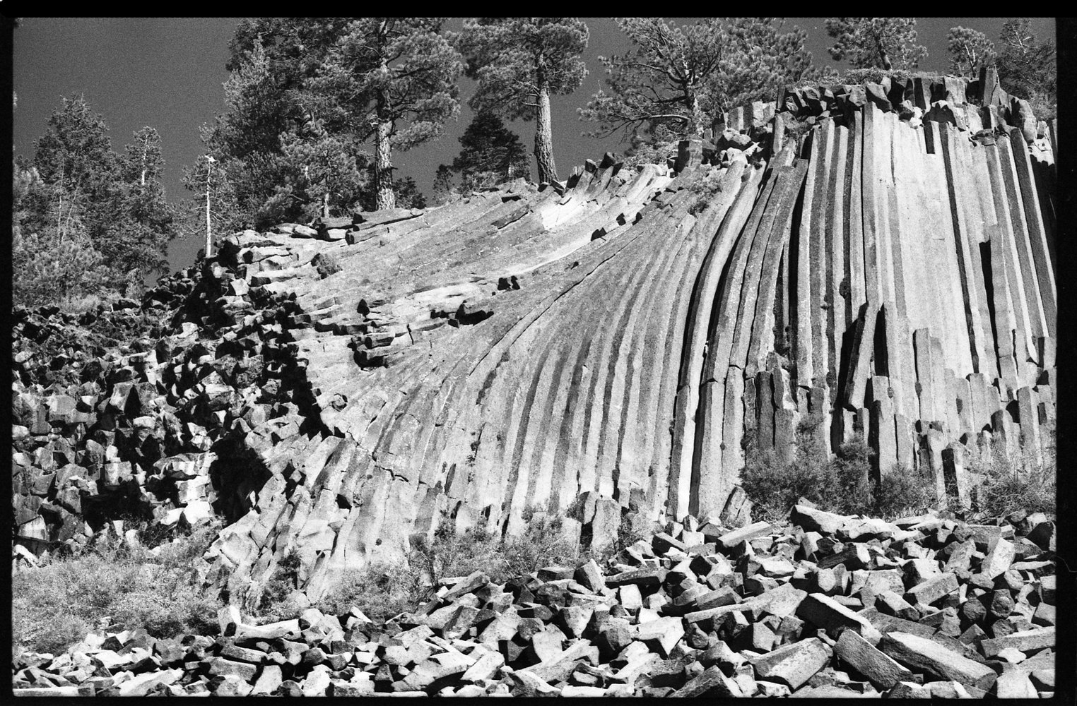 h205.jpg