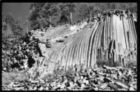 h205_small.jpg