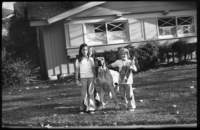 h319_small.jpg