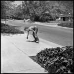 photo193_small.jpg