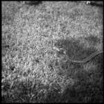photo58_small.jpg
