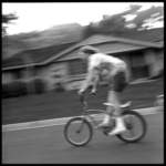 photo79_small.jpg
