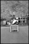 v196_small.jpg