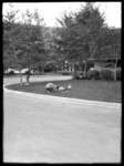 v492_small.jpg